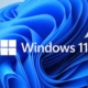 Windows 11 and Sage 50 Accounts